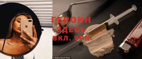 трава Коряжма