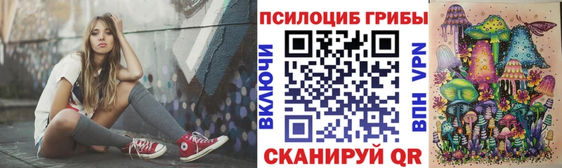 закладки  Колпашево  Галлюциногенные грибы Psilocybe 